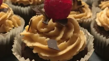 Vegane Schoko-Erdnussbutter-Cupcakes