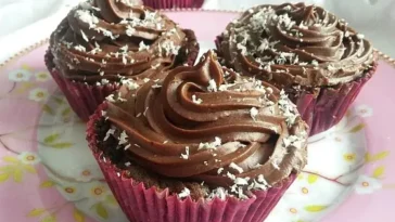 Double Chocolate Cream Cupcakes