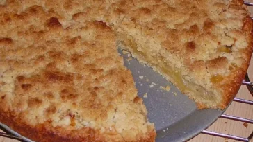 Veganer Zwetschgenkuchen mit Zimtstreuseln