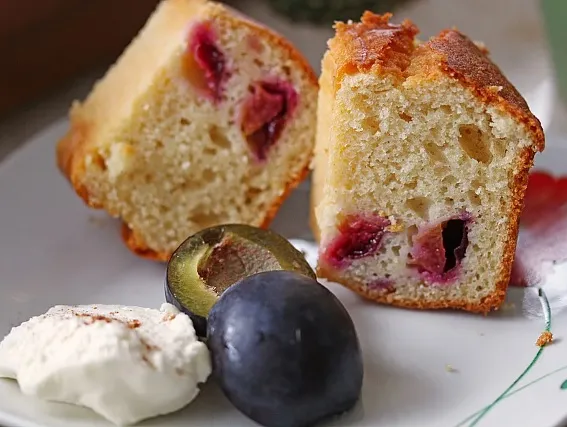 Zwetschgen Zimt Joghurt Gugelhupf