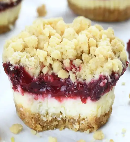 Mini-Cranberry-Käsekuchen