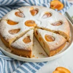 veganer österreichischer marillenkuchen