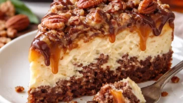 Dekadenter Schildkröten-Fudge-Käsekuchen mit Schokolade und Karamell