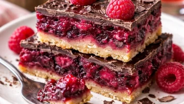 Dunkle Schokoladen-Himbeer-Pieflecken auf einem Teller