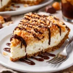 Leckerer Samoa-Käsekuchen mit cremiger Füllung und Schokoladendeckel