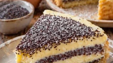 Saftiger Mohnkuchen mit Pudding und Schmand auf einem Teller