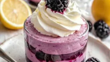 Leckeres Schwarze Johannisbeeren Schokoladen-Dessert auf einem weißen Teller