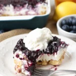 Blaubeer Yum Yum - köstliches Dessert mit frischen Blaubeeren