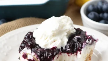 Blaubeer Yum Yum - köstliches Dessert mit frischen Blaubeeren