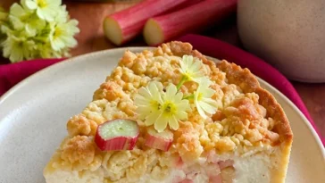Rhabarber-Cheesecake mit knusprigem Crumble auf einem Teller serviert