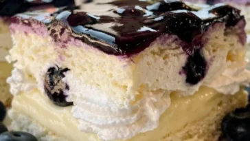 Heidelbeer-Zitronen-Eisboxkuchen auf einem Teller, perfekt für den Sommer